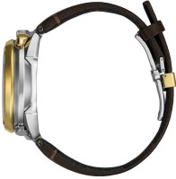 citizen-bullhead-3c